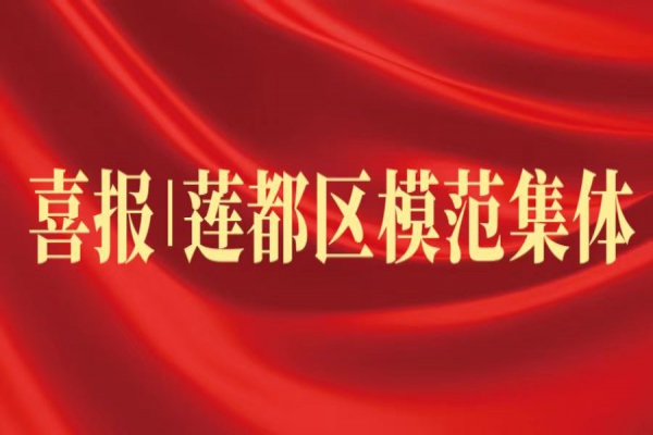 喜報丨浙江中立建設榮獲蓮都區(qū)“模范集體”稱號！